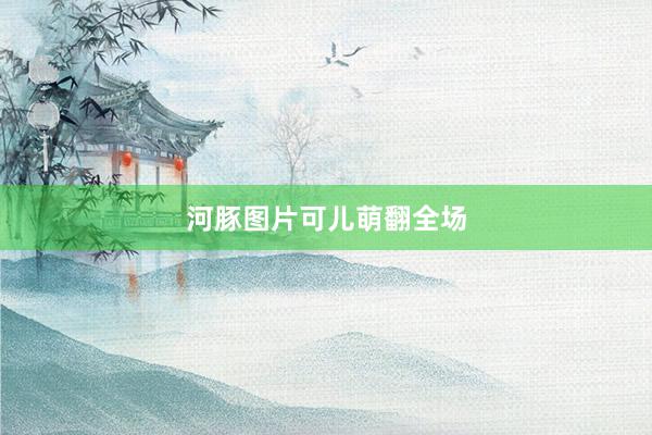 河豚图片可儿萌翻全场
